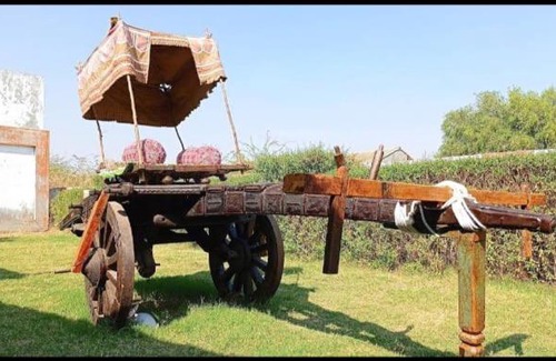 Gujarat Resort | Delightful Flamingo Resort Dholavira with Breakfast Included
