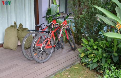 Ngoc Thanh Villa | Experience Flamingo Đại Lải Resort - Family-Friendly Retreat