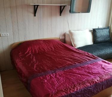 Panevezys Apartment | Cozy One-Room Flat with Study - Pet and Child Friendly