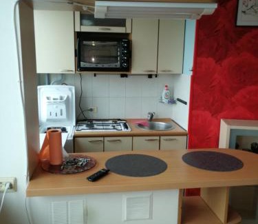 Panevezys Apartment | Cozy One-Room Flat with Study - Pet and Child Friendly