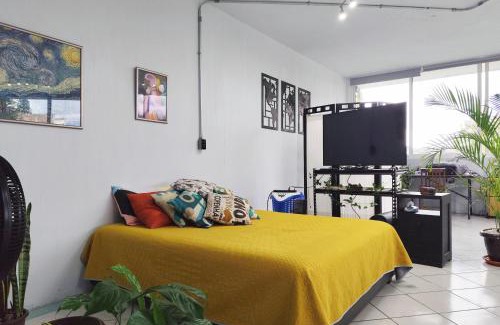 Xalapa Apartment | Flat Apartment in Downtown Xalapa Veracruz