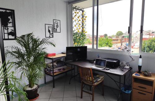 Xalapa Apartment | Flat Apartment in Downtown Xalapa Veracruz