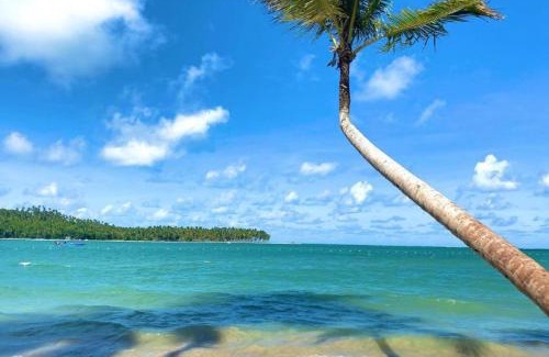Tamandare Apartment | Experience Beachfront Bliss at Flat Carneiros Eco Resort
