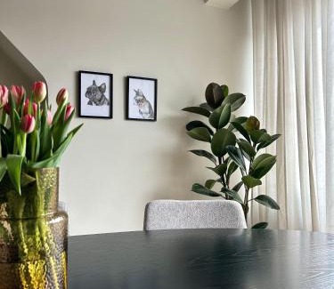 Oudenaarde Apartment | Ideal Flat in Oudenaarde with Bike Storage for Families