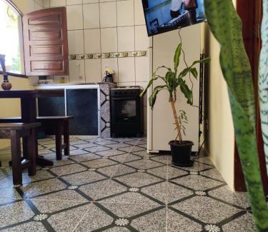 Itacare Apartment | Stylish 2-Bedroom Flat Near Urban Beaches and Pet Friendly