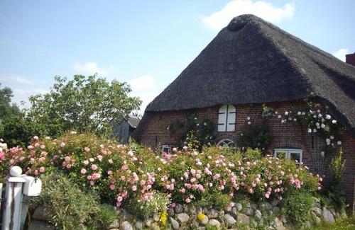 Emmelsbuell-Horsbuell Apartment | Cozy Holiday Apartment in Emmelsbüll-Horsbüll for 4