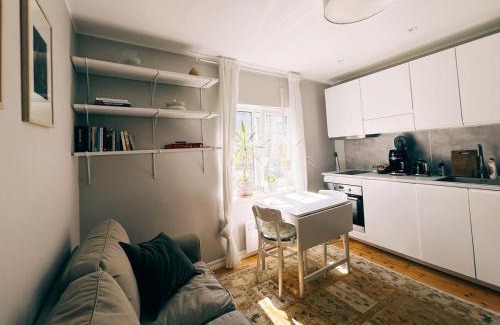 Pelgulinn Apartment | Flat in Telliskivi area