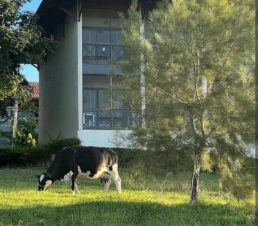 Saire House | Pet-Friendly Flat Fazenda Monte Castelo with Pool & Family Fun