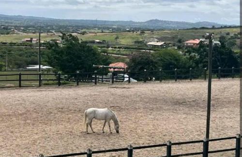 Saire House | Pet-Friendly Flat Fazenda Monte Castelo with Pool & Family Fun