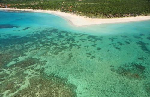 Tamandare Apartment | Experience Comfort at Flat no Carneiros Beach Resort