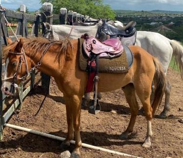 Saire Apartment | Flat no Condomínio Monte Castelo ao lado da área de lazer, Gravatá-PE