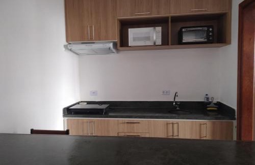 Sao Vicente Apartment | Cozy Flat Palladium with Oceanfront Pool and Spa Access