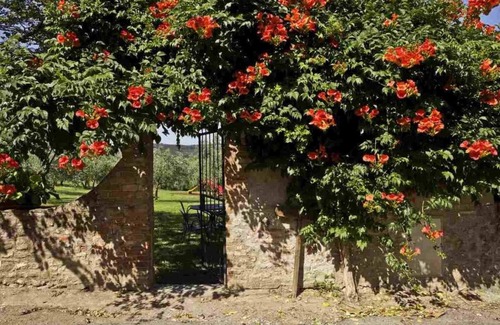 San Donato a Livizzano Apartment | Relaxing Flat with A/C, Pool & Wi-Fi in Tuscan Winery