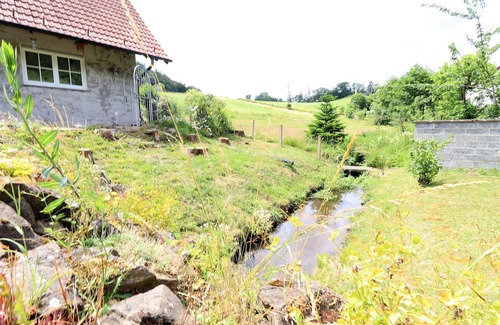 Diemelsee House | Flechtdorfer Waldblick: Ideal Retreat with Stream and Terrace
