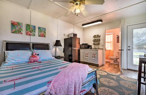 Canyon Lake Apartment | Pet-Friendly Flirty Flamingo Studio Near Canyon Lake