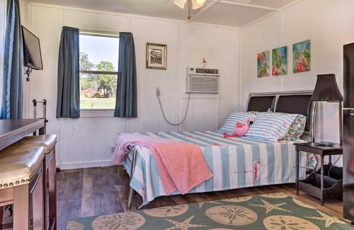 Canyon Lake Apartment | Pet-Friendly Flirty Flamingo Studio Near Canyon Lake