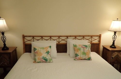 Cockburn Town Apartment | Flirty Flamingos: Oceanfront Bliss with Pool & Breakfast