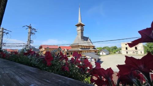Sapinta House | Guest Rated: 9.7 for Floare de Colt Sapanta, Family-Friendly