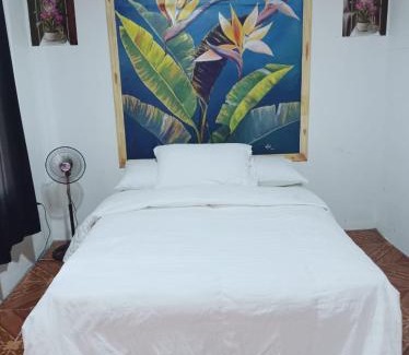 Barrio Pilo Hostel | Flor de Fortuna