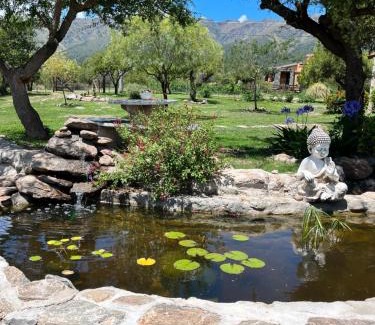Carpinteria House | Exceptional Flor Silvestre: Family-Friendly with Pool
