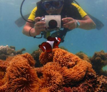 Pulau Perhentian Besar Resort | Relax at Flora Bay 1 with Private Beach & Ocean View