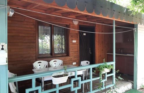 Cirali House | Cozy Flora Pansiyon Çıralı with Oceanfront Views