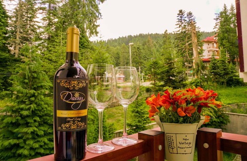 Borovets Apartment | Discover Flora Residence Daisy: Pet-Friendly Retreat with Pool