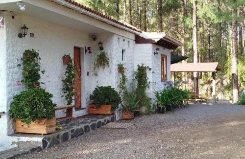 Icod de los Vinos House | Exceptional Floral Garden House – Child-Friendly Retreat!