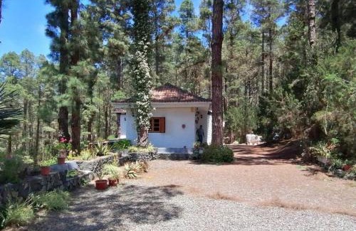 Icod de los Vinos House | Exceptional Floral Garden House – Child-Friendly Retreat!