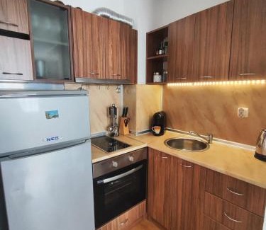 Asenovgrad Apartment | Flores Park white red rose