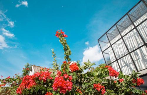 Ende Bed & Breakfast | Discover Comfort at Flores Passport House - Pet Friendly Stay