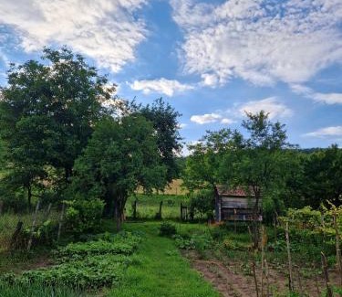 Laslea House | Explore Floresti House 21: Pet-Friendly with a Hot Tub