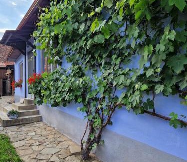 Laslea House | Explore Floresti House 21: Pet-Friendly with a Hot Tub