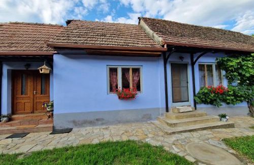 Laslea House | Explore Floresti House 21: Pet-Friendly with a Hot Tub