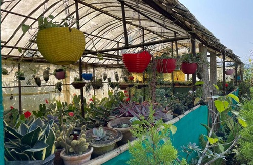 Turuk House | Inviting Flower Patch Homestay - Top-Rated by Guests