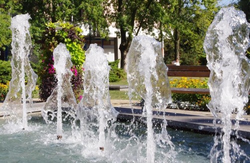 Gyula Hotel | Fodor Hotel: Pet-Friendly Stay with Breakfast Included