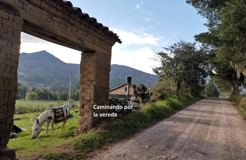 Pesca House | Relax at Fogata Naturaleza: A 4-Star Pet-Friendly Retreat