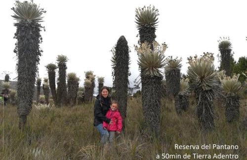 Pesca House | Relax at Fogata Naturaleza: A 4-Star Pet-Friendly Retreat
