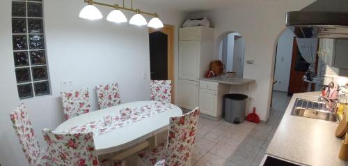 Hidegseg House | Pet-Friendly Foki Vendégház with 10/10 Guest Ratings