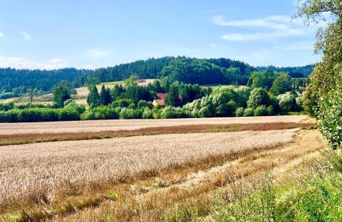 Marciszow House | Folwark Sudecki: Guest Rated 10/10, Pet & Child Friendly
