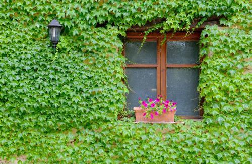 Beceite Hotel | Discover Font del Pas: Guest Rated 9.2 with Pool & Dining