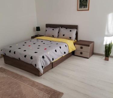 Bradesti House | Discover Fontana Erdélyi Vendégház: Pet-Friendly Retreat