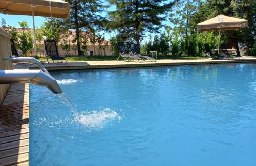 Casteloes Hotel | Relax at Fonte Velha: Oceanfront Pool & Family-Friendly Stay