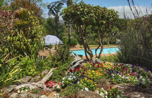 Old Place Apartment | Discover Footprints of Knysna: Poolside Retreat with Top Reviews