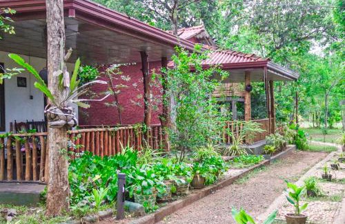 Pallebedda Hotel | Backpackers Haven - Steps from National Park & Pet Friendly