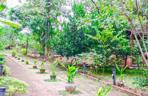 Pallebedda Hotel | Backpackers Haven - Steps from National Park & Pet Friendly
