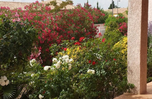 Sauvian House | Delightful Getaways Between Sea and Mountains - 9.6/10 Rating