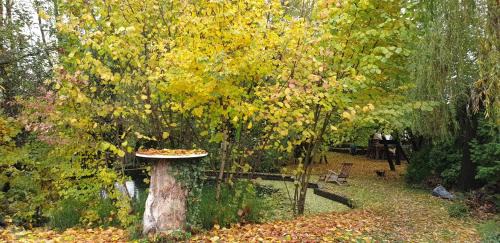 Rakitje Villa | Elegant Forest Art Villa Zagreb: Pet-Friendly Oasis Awaits