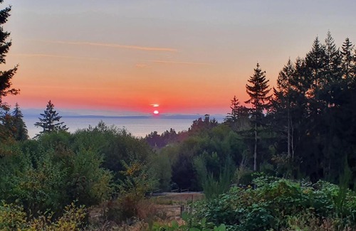Courtenay Apartment | Oceanfront Forest by the Sea Rentals: Guest Rated 9.9/10