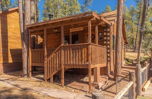 Christopher Creek Cabin | Cozy Forest Cabin 1 with Pet-Friendly Amenities